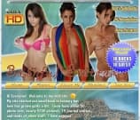 Bashful Brittany Image