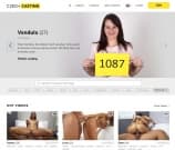 Czech Casting Image