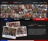 Czech Home Orgy Image