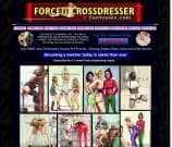 Forced Crossdresser Fantasies Image