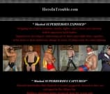 Hero In Trouble Image