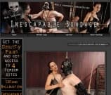 Inescapable Bondage Image