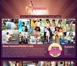 Japanese Flashers Image