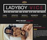 Ladyboy Vice Image