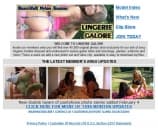 Lingerie Galore Image